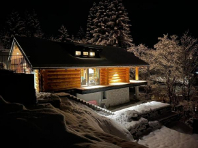 Chalet Maibrunnen -A- in Kleinkirchheim